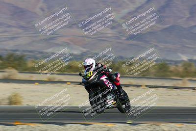 media/Jan-13-2024-SoCal Trackdays (Sat) [[9c032fe5aa]]/Turn 14 (10am)/